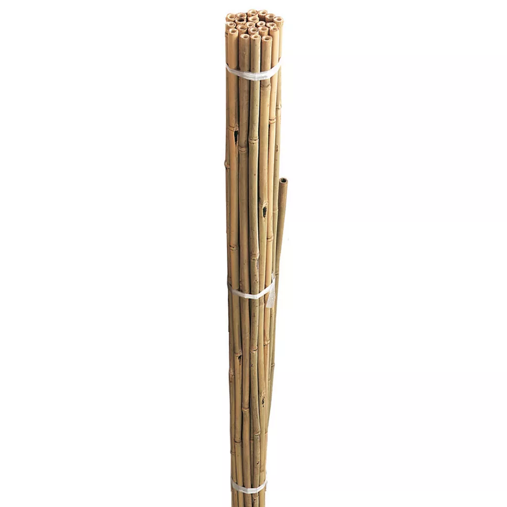 Natural Bamboo Garden Stakes / Canes Large sizes - Grower's Solution