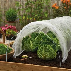 grow tunnel hoops in use