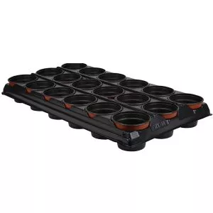 growing tray with 18 round pots