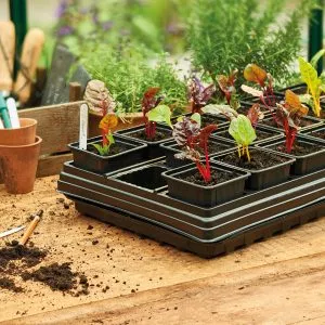 growing tray with 18 square pots lifestyle