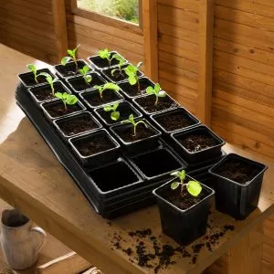 growing tray with 18 square pots lifestyle