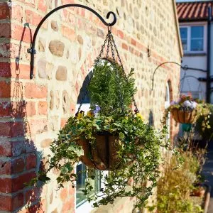 Georgian Hanging Basket