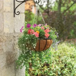 Georgian Hanging Basket