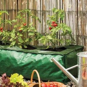 https://www.gardenhealth.com/wp-content/uploads/2020/01/heavy-duty-reusable-grow-bag-grow-it-09119-3-300x300.webp