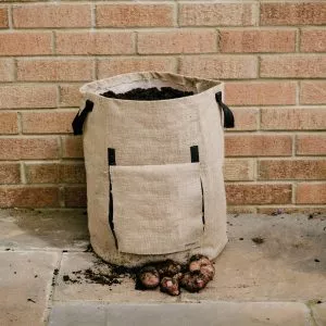 potato planter bag in use