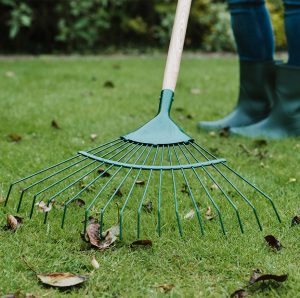 Gardener's Mate Lawn and Leaf Rake in use