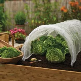 Mesh Grow Tunnel