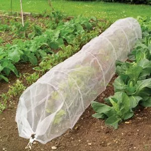 mesh grow tunnel on crops