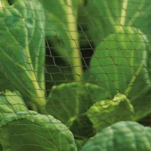 multi purpose knitted garden netting in use