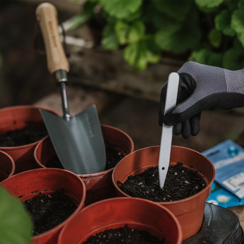 Plant Labels