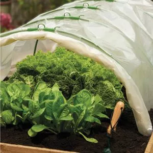 grow it poly sheet in use