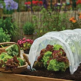 Polythene Grow Tunnel