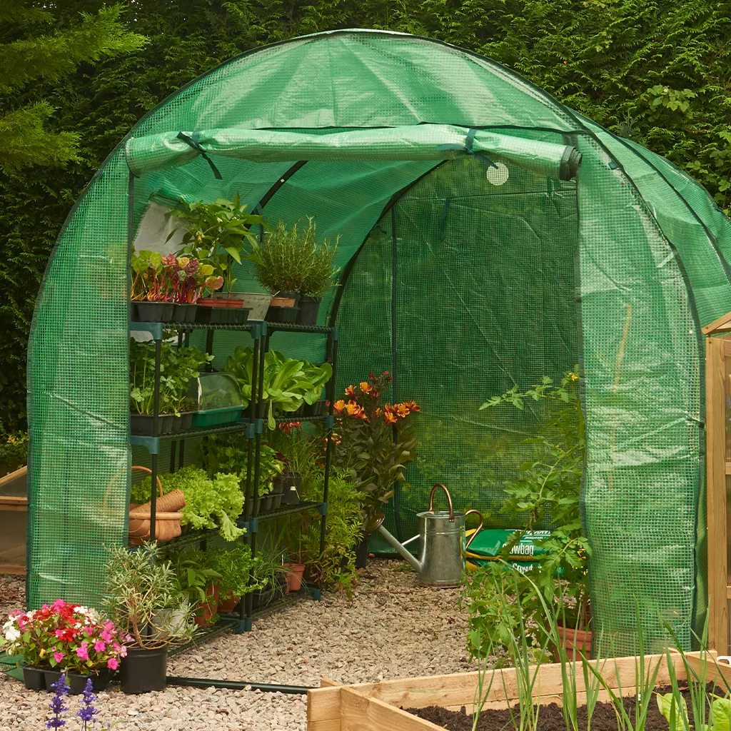 polytunnel heavy duty cover on tunnel