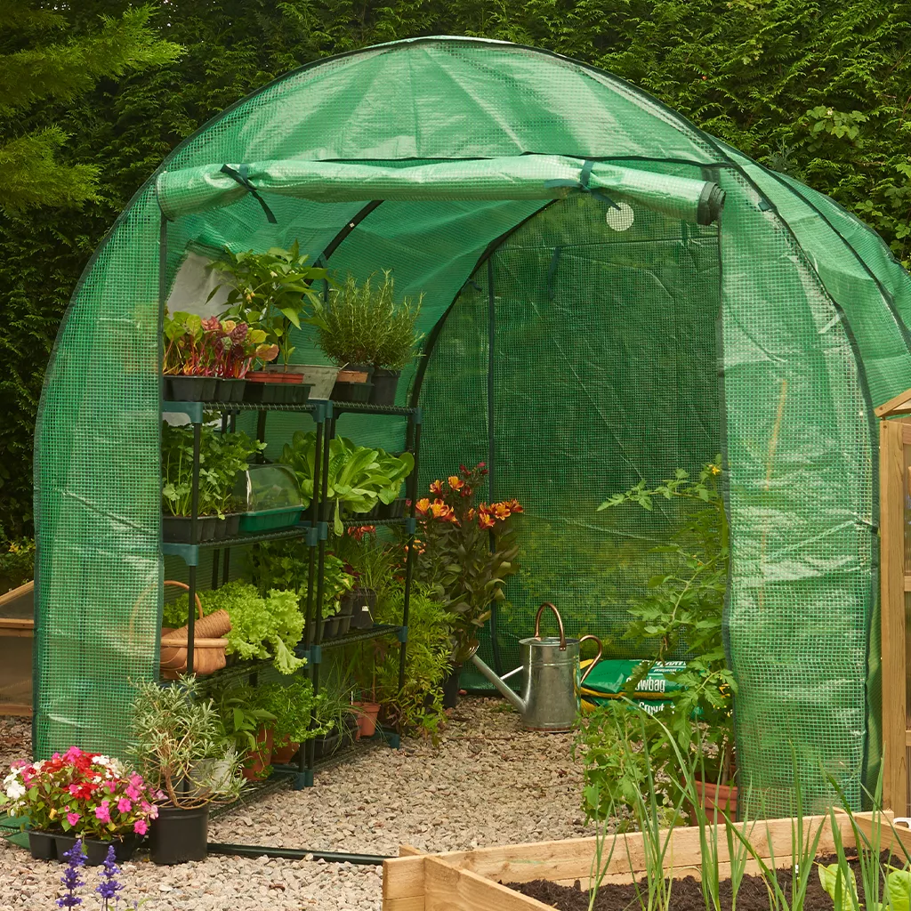 'polytunnel heavy duty cover on tunnel polytunnel heavy duty cover on tunnel