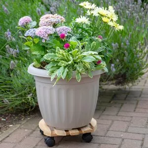 Wooden Pot Trolley