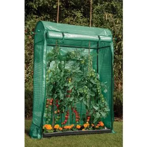 Premium Tomato Growhouse