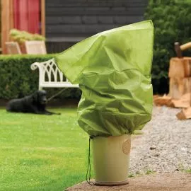 protective plant jacket on pot