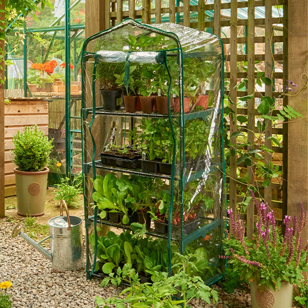 PVC 4 tier compact growhouse cover in use