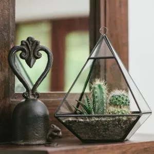 pyramid terrarium on fire place