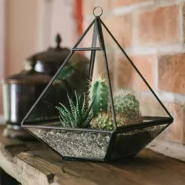 Glass Pyramid Terrarium