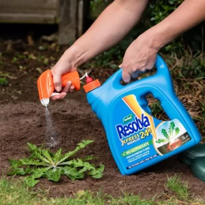Resolva Xpress Weedkiller Ready to Use in use with soil