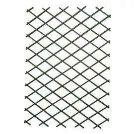 Green Expanding Diamond Trellis