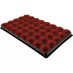 seed and cutting tray with 40 pots