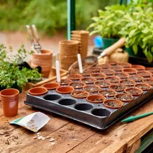 seed and cutting tray 40 pots
