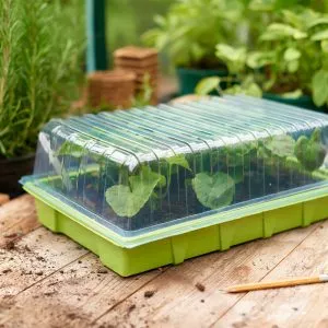 seed tray lid