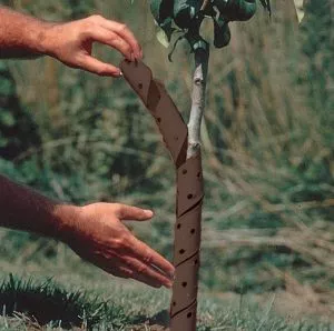 Spiral Tree Guard