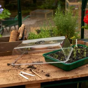 unheated propagator without lid growing