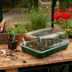 unheated propagator with lid on