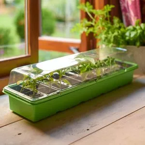 windowsill propagator set