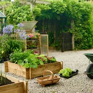 wooden raised bed in use