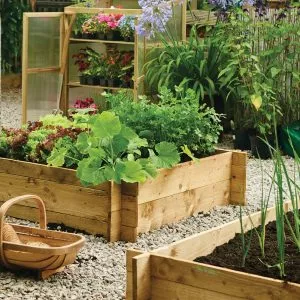 wooden raised bed