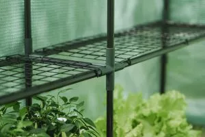 growhouse-shelves-grow-it