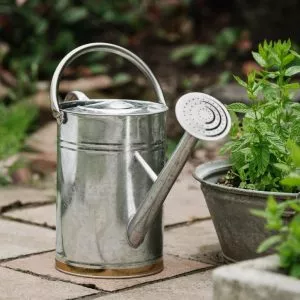 9L Galvanised Metal Watering Can