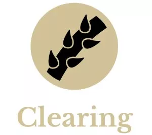 clearing icon
