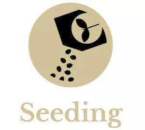 seeding icon