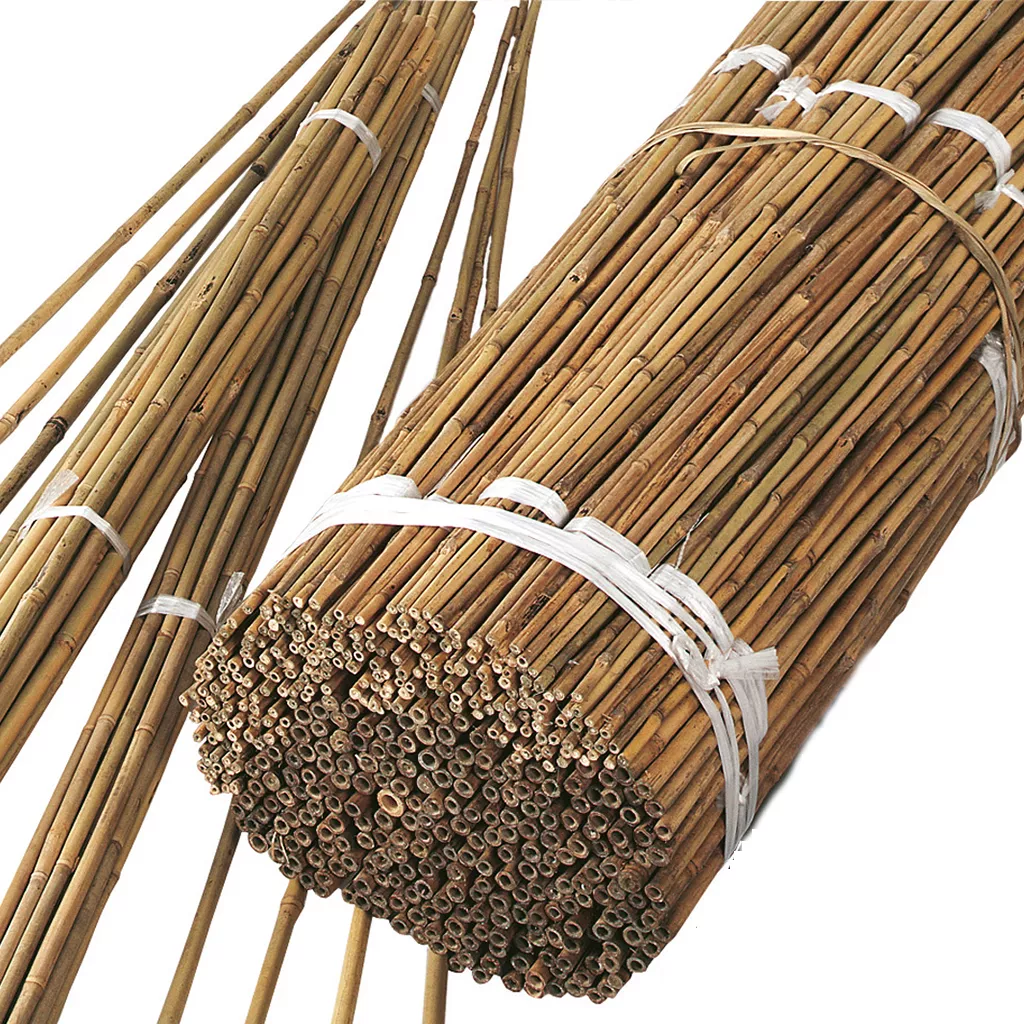 bulk bamboo canes