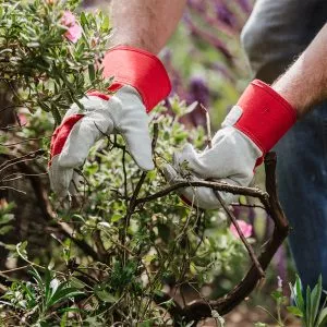 red rigger gloves