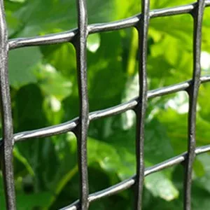 50mm² Cage & Aviary Mesh Panel