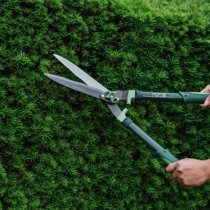 Gardeners Mate Hedge Shears in use