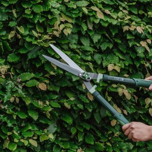 Gardeners Mate Hedge Shears in use