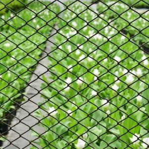 50mm² galvanised wire netting