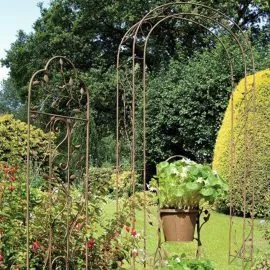 nature arch in garden