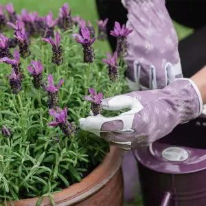 Purple Flutter Bugs Print Premium Leather Gloves