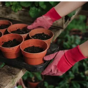 ultimate all round gardening gloves rumba red ladies medium