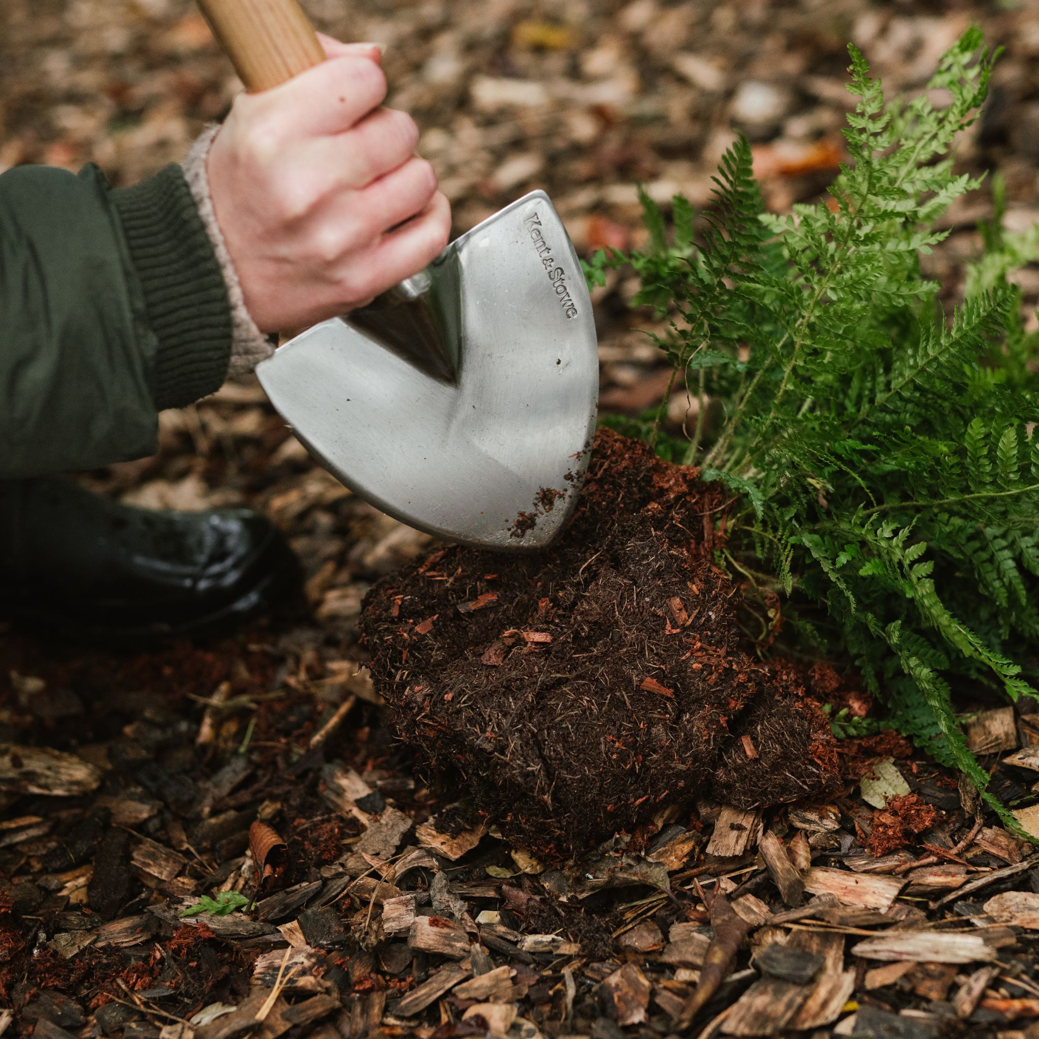 perennial spade may gardening