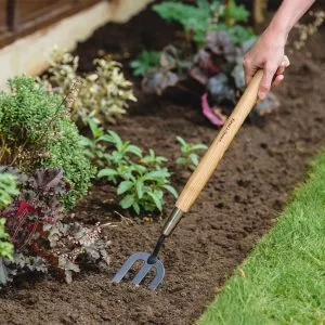 Carbon Steel Border Fork in soil